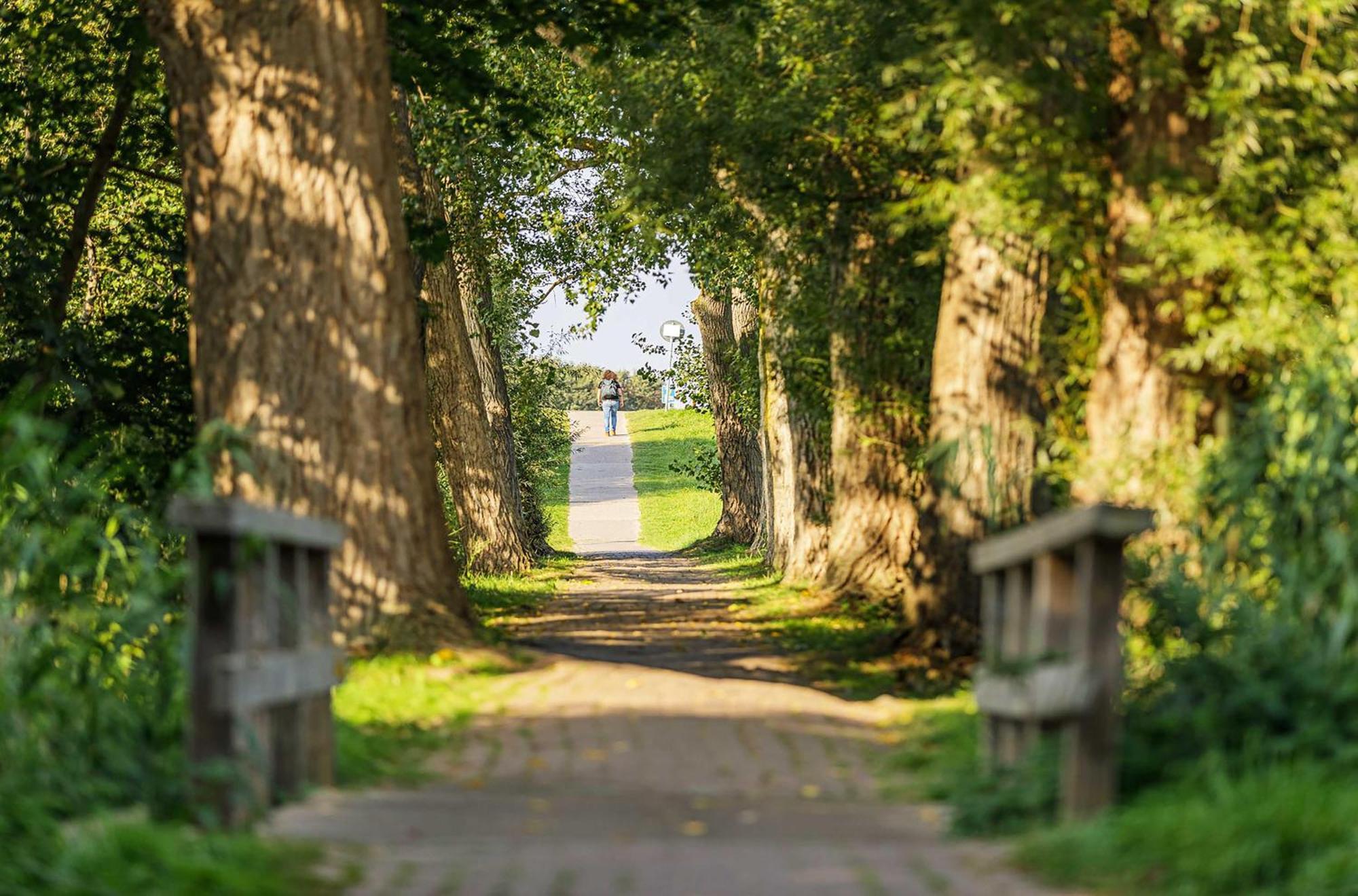 Achterndieck In Der Alten Seefahrtschule